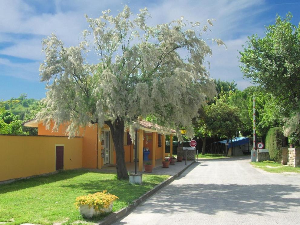 Camping Paradiso Pesaro Exterior photo